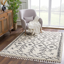 Carregar imagem no visualizador da galeria, Godalming Plush Area Rug