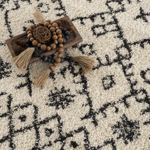 Carregar imagem no visualizador da galeria, Godalming Plush Area Rug