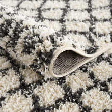 Load image into Gallery viewer, Muni Berber Shag Rug - Clearance