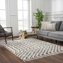 Load image into Gallery viewer, Muni Berber Shag Rug - Clearance
