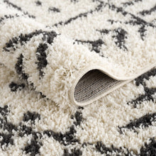 Load image into Gallery viewer, Hauppauge Berber Shag Carpet