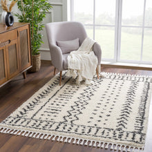 Load image into Gallery viewer, Hauppauge Berber Shag Carpet