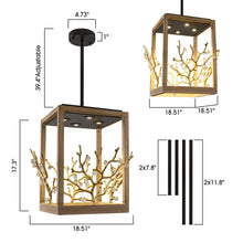 Carregar imagem no visualizador da galeria, 4-Light Modern Branches Island Pendant Lighting
