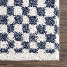 Load image into Gallery viewer, Kieu Blue & White Checkered Area Rug