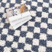 Load image into Gallery viewer, Kieu Blue & White Checkered Area Rug