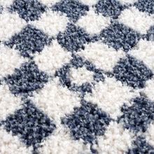 Load image into Gallery viewer, Kieu Blue & White Checkered Area Rug