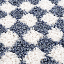 Load image into Gallery viewer, Kieu Blue & White Checkered Area Rug
