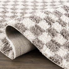Load image into Gallery viewer, Kieu Taupe Checkered Plush Rug