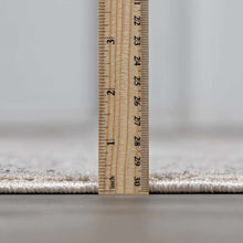 Load image into Gallery viewer, Birdwood Area Rug