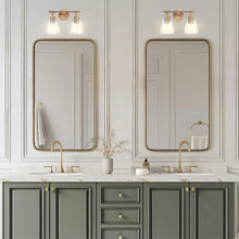 Carregar imagem no visualizador da galeria, Brilliance Modern Farmhouse 2-Light Vanity Light