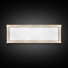 Load image into Gallery viewer, Bialowieza Forest Travel Poster Print, Framed Canvas Wall Art, Metal Wall Art, COUNTRY art, Gift For Him, Travel Wall Art, Travel Lover Gift