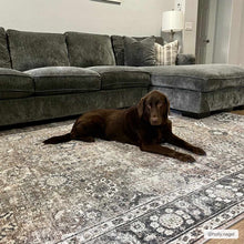 Cargar imagen en el visor de la galería, Ganyangan Washable Rug