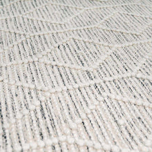 Load image into Gallery viewer, Carolina Wool Area Rug