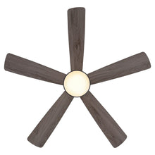 Carregar imagem no visualizador da galeria, 52" Indutrial 5 Blades Ceiling Fan with LED Lighting
