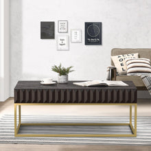 Carregar imagem no visualizador da galeria, Walnut/Gold Textured Front Panels Coffee Table with Concealed Drawers