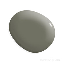 Load image into Gallery viewer, Cypress Shade - Manor Borne Wall Paint