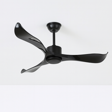 Carregar imagem no visualizador da galeria, Caelus Ceiling Fan