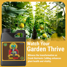 Carregar imagem no visualizador da galeria, CalMag 2-0-0 | Complete Calcium, Magnesium and Iron Plant Supplement