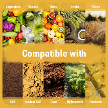 Carregar imagem no visualizador da galeria, CalMag 2-0-0 | Complete Calcium, Magnesium and Iron Plant Supplement