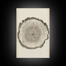 Carregar imagem no visualizador da galeria, Framed Canvas Print Wall Art Pastel Grunge Wood Tree Rings Abstract Illustrations Minimalist Modern Art Boho Decor Framed Canvas Print
