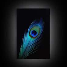 Carregar imagem no visualizador da galeria, A Lone Peacock Feather, Framed Canvas Print, Feather Photography, Beautiful & Colorful Peacock Art