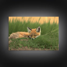 Cargar imagen en el visor de la galería, Cute Sleeping fox Framed Canvas Wall Art, Canvas Print Decor for Home & Office Decoration Canvas Ready to Hang
