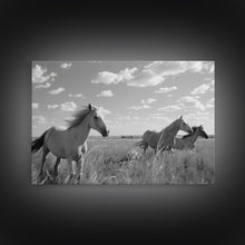 Carregar imagem no visualizador da galeria, Fine Art Framed Canvas Print, Metal Art, Black & White Photo of Wild Mustangs, Horse Art, American Horses Landscape / Nature / Wildlife Art