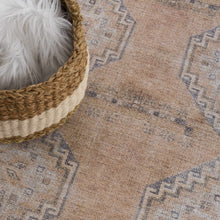 Carregar imagem no visualizador da galeria, Carrabelle Peach Washable Area Rug - Clearance