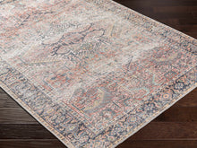 Load image into Gallery viewer, Dunsha Boutique Washable Area Rug - Clearance