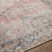 Load image into Gallery viewer, Dunsha Boutique Washable Area Rug - Clearance