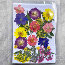 Load image into Gallery viewer, Blue & Yellow Multi Dried Flowers