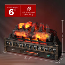 Carregar imagem no visualizador da galeria, Eternal Flame EF30-PB Electric Fireplace Logs