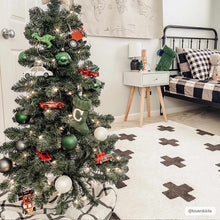 Load image into Gallery viewer, Erath Area Rug