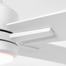 Carregar imagem no visualizador da galeria, 48" DC Motor 5 Blades Modern Downrod Mount Ceiling Fan