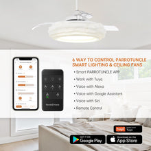 Carregar imagem no visualizador da galeria, 52" Jaipur Smart Fan with LED Light