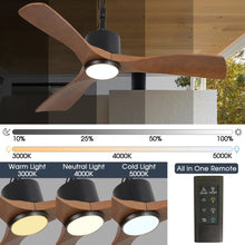 Carregar imagem no visualizador da galeria, 42 Inch Patio Guard IP65 Outdoor DC Motor Black Modern Hanging Buckle Downrod Ceiling Fan with Light