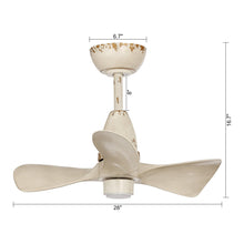 Carregar imagem no visualizador da galeria, 28" Kwang Farmhouse DC Motor Downrod Mount Reversible Ceiling Fan with LED Lighting and Remote Control