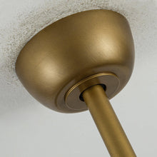 Carregar imagem no visualizador da galeria, 52" Punjab Smart Fan with LED Light