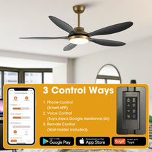 Carregar imagem no visualizador da galeria, 52" Punjab Smart Fan with LED Light