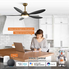 Carregar imagem no visualizador da galeria, 52" Punjab Smart Fan with LED Light