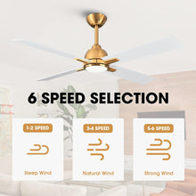 Carregar imagem no visualizador da galeria, 48" Linden DC Motor Downrod Mount Reversible Ceiling Fan with Lighting and Remote Control