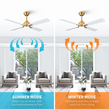 Carregar imagem no visualizador da galeria, 48" Linden DC Motor Downrod Mount Reversible Ceiling Fan with Lighting and Remote Control