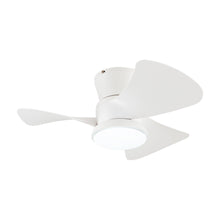 Carregar imagem no visualizador da galeria, 31" Mazon Modern DC Motor Flush Mount Reversible Ceiling Fan with LED Lighting and Remote Control