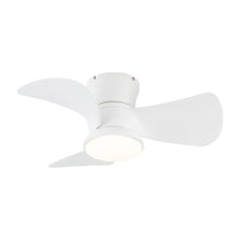Carregar imagem no visualizador da galeria, 31" Mazon Modern DC Motor Flush Mount Reversible Ceiling Fan with LED Lighting and Remote Control