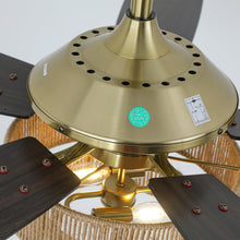 Carregar imagem no visualizador da galeria, 52 Inch Danube Farmhouse DC Motor Golden Downrod Ceiling Fan with Light
