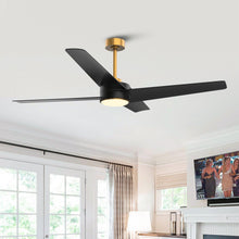 Carregar imagem no visualizador da galeria, 60" Parvez Modern DC Motor Downrod Mount Reversible Ceiling Fan with Lighting and Remote Control