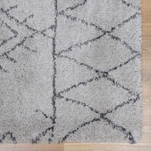 Carregar imagem no visualizador da galeria, Flintville Moroccan Shag Area Rug - Clearance