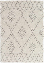 Carregar imagem no visualizador da galeria, Flintville Moroccan Shag Area Rug - Clearance