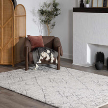 Carregar imagem no visualizador da galeria, Flintville Moroccan Shag Area Rug - Clearance