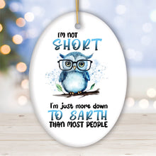 Carregar imagem no visualizador da galeria, Down to Earth Owl Ceramic Ornament, Cute and Funny Christmas Gift
